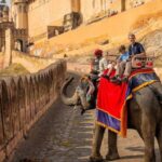 1 from delhi jaipur private full day guided tour From Delhi: Jaipur Private Full-Day Guided Tour