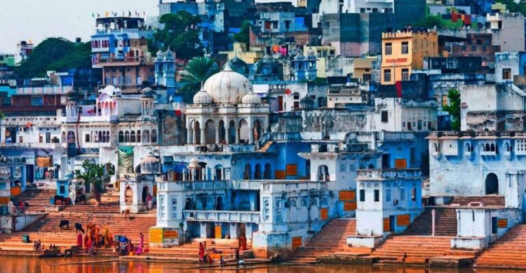 From Delhi: Jaipur Pushkar & Ranthambore Tour