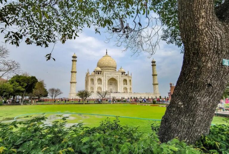 From Delhi: Taj Mahal Sunrise With Agra Fort Day Trip by Car