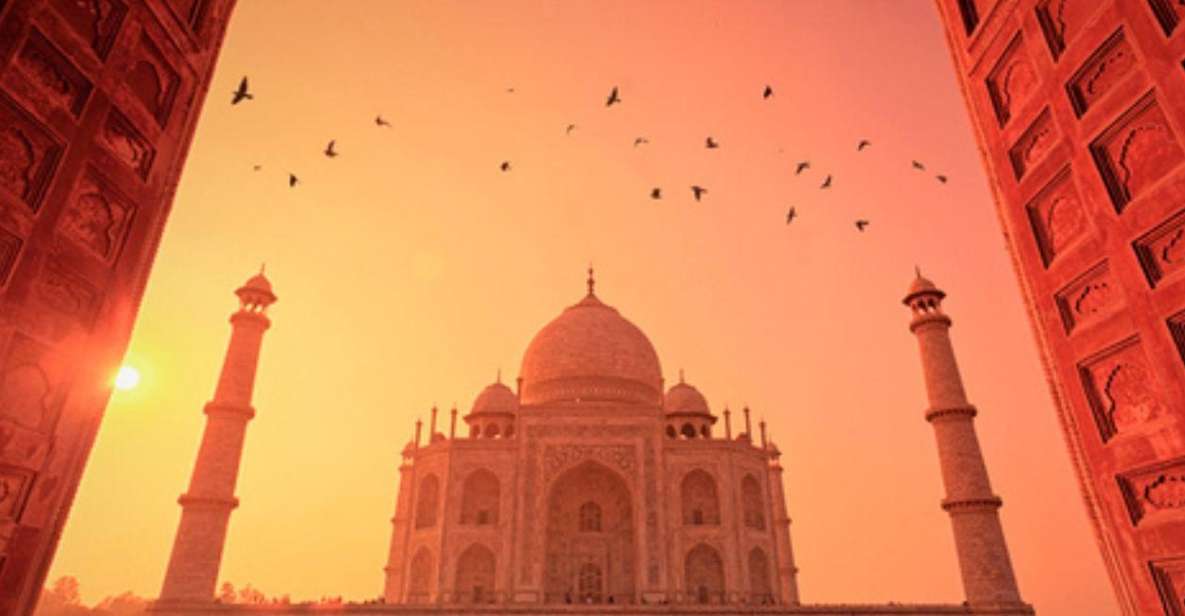 From Delhi:Sunrise Taj Mahal Tour With Elephant Conservation - Key Points