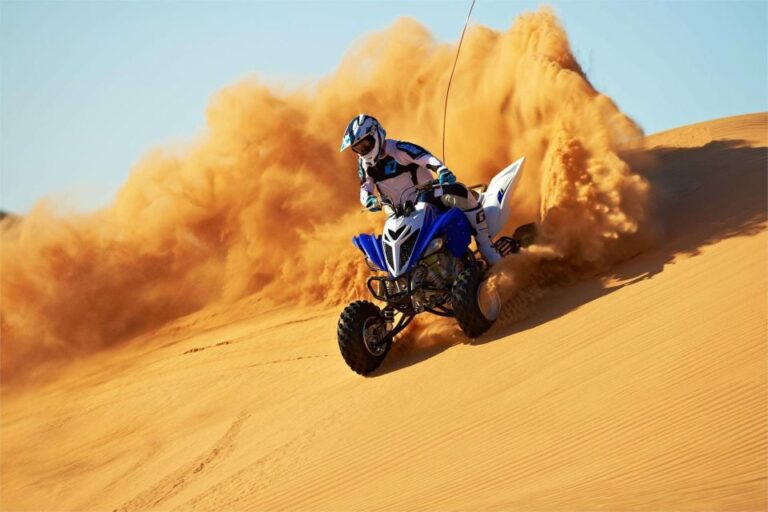 From Douz: Camel and Quad Bike Tour With Transfer