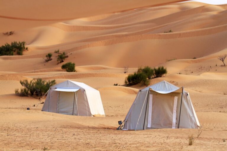 From Douz: Overnight Safari in Tunisian Sahara Desert