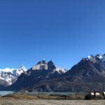 1 from el calafate torres del paine full day tour From El Calafate: Torres Del Paine Full Day Tour
