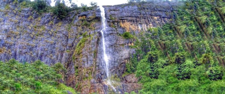 From Ella: Diyaluma Falls Full-Day Tour With Lunch