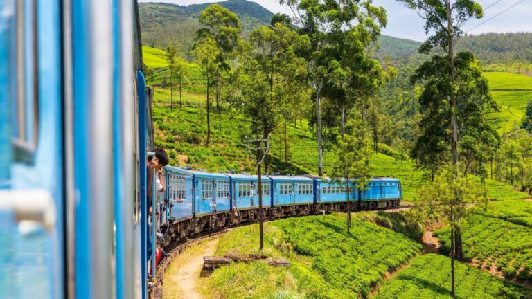 From Ella or Bandarawela: Adisham Rail All-Inclusive Tour