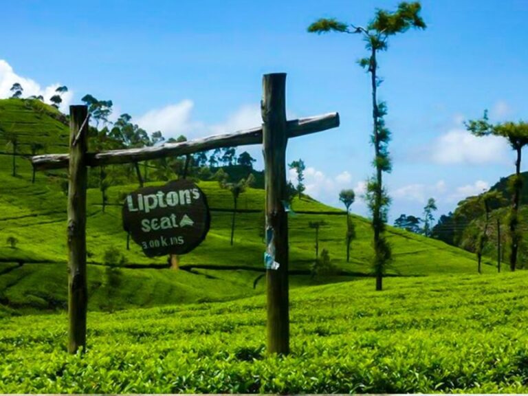 From Ella: Tuk-Tuk Tea Adventure: Lipton’s Seat Excursion!