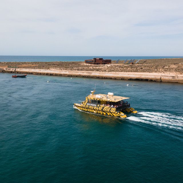From Faro: Catamaran Boat Trip to Deserta Island With Stop