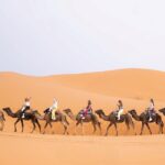 1 from fes unforgettable desert tour to marrakech 3 day From Fes: Unforgettable Desert Tour to Marrakech 3-Day
