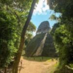 1 from flores tikal and yaxha day tour From Flores: Tikal and Yaxhá Day Tour
