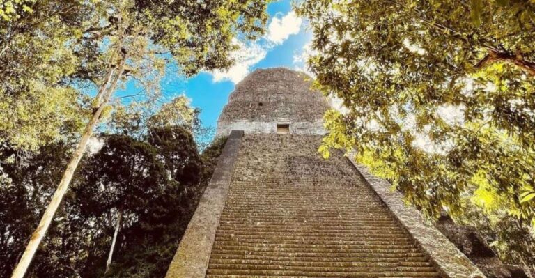 From Flores: Tikal National Park Private Day Trip With Lunch