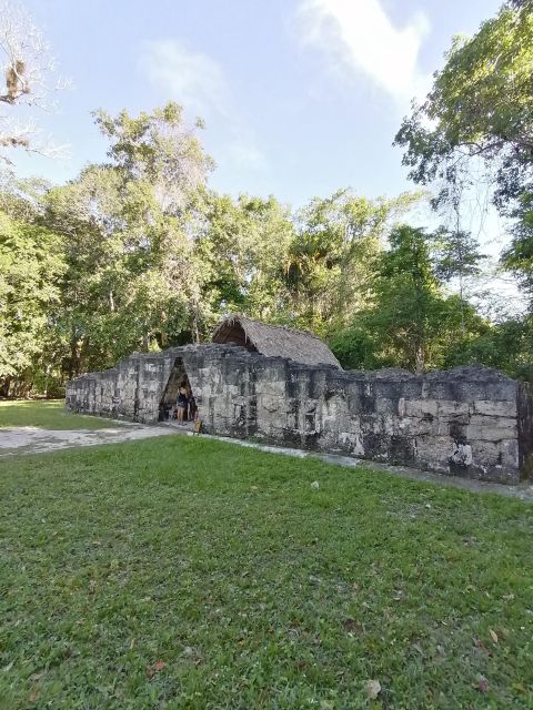 From Flores: Tikal Private Tour for Groups