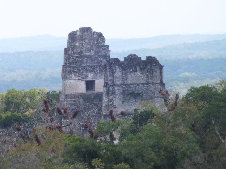 From Flores: Tikal Ruins Guided Day Trip