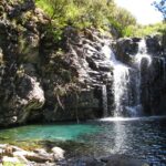 1 from funchal madeira lakes levada guided hike From Funchal: Madeira Lakes Levada Guided Hike
