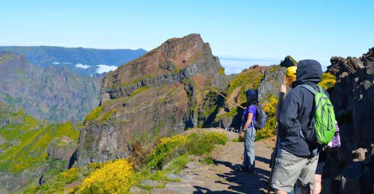 From Funchal: Madeira Peaks Mountain Walk