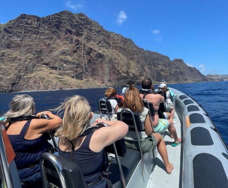 From Funchal: Whale and Dolphin Watching