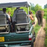 1 from galle or mirissa yala safari with lunch at campsite From Galle or Mirissa: Yala Safari With Lunch at Campsite