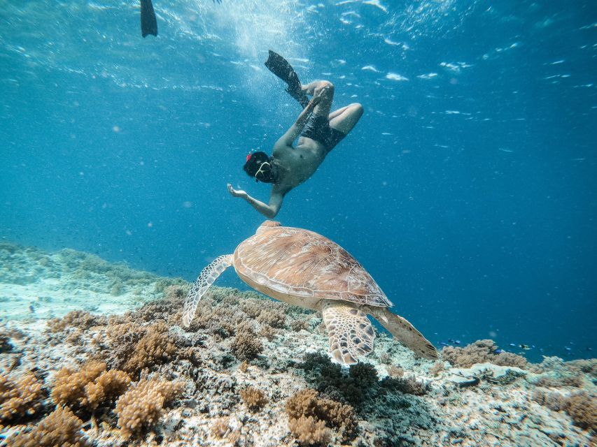 1 from gili trawangan gili islands snorkeling tour by boat From Gili Trawangan: Gili Islands Snorkeling Tour by Boat