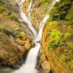 1 from goa dudhsagar waterfalls plantation tour From Goa: Dudhsagar Waterfalls & Plantation Tour