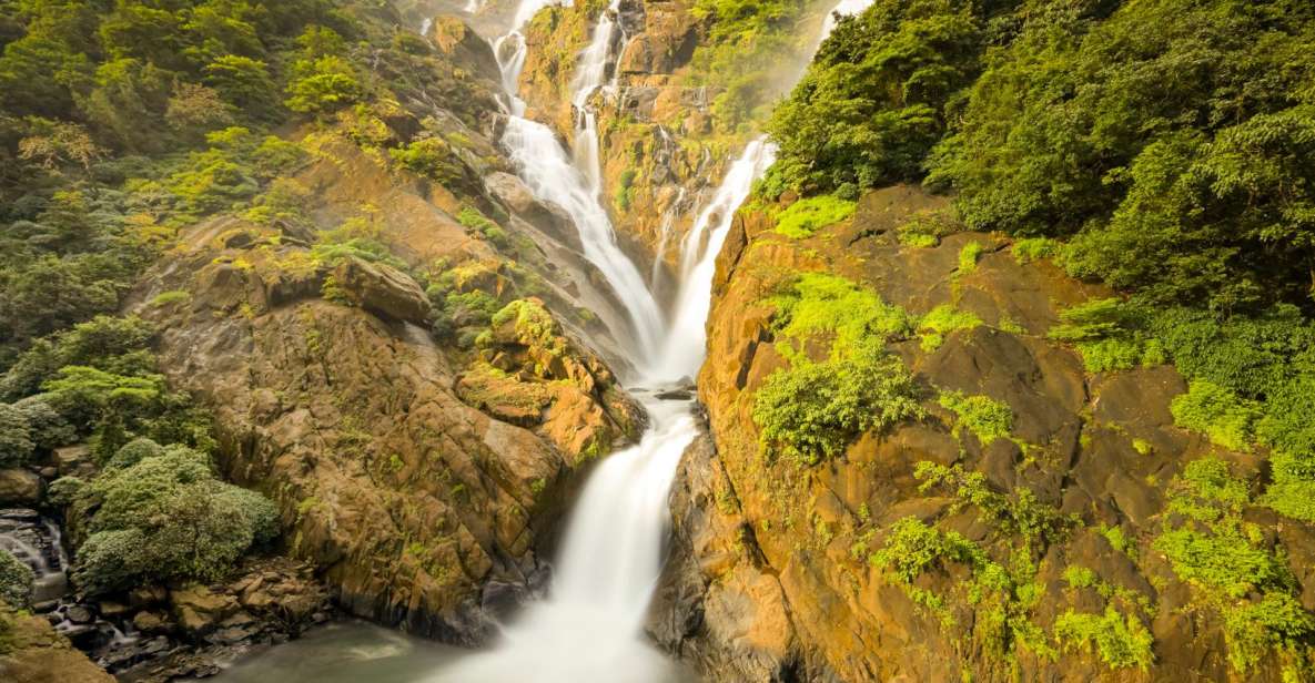 1 from goa dudhsagar waterfalls plantation tour From Goa: Dudhsagar Waterfalls & Plantation Tour