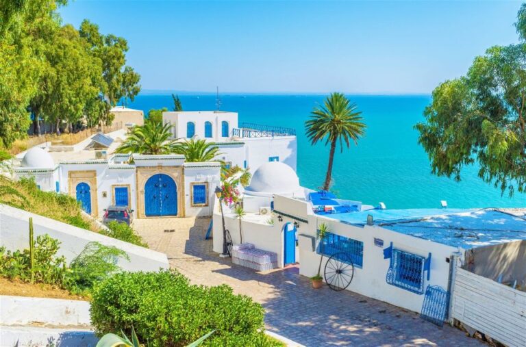 From Hammamet: Day Trip to Sidi Bou Saïd and Carthage