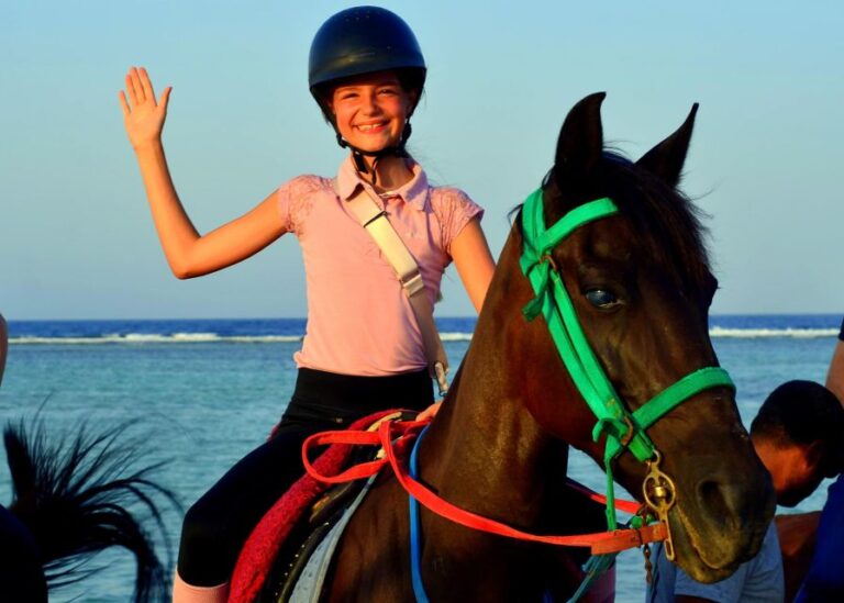 From Hurghada: Makadi Bay Horse Riding Tour