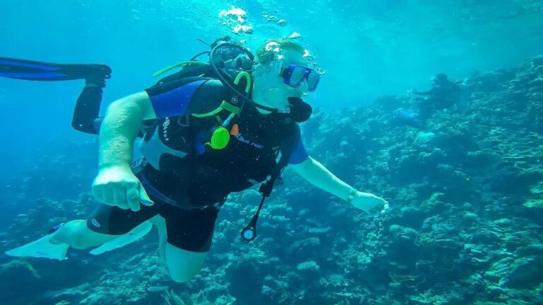 From Hurghada: Orange Island Snorkeling Cruise With Lunch