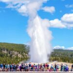 1 from jackson yellowstone day tour including entrance fee From Jackson: Yellowstone Day Tour Including Entrance Fee
