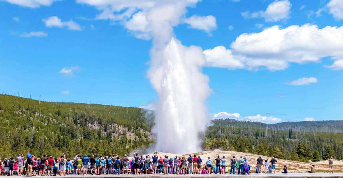 1 from jackson yellowstone day tour including entrance fee From Jackson: Yellowstone Day Tour Including Entrance Fee