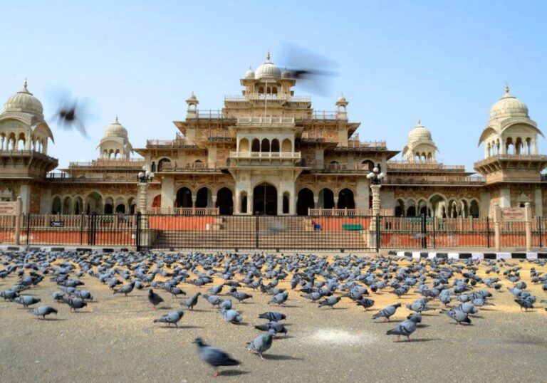 From Jaipur: 3-Day Udaipur & Jaipur Excursion