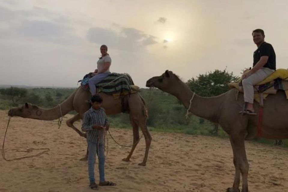 From Jodhpur: Overnight Stay in Desert With Camel Safari - Key Points