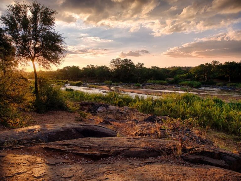 From Johannesburg: 3-Day Budget Kruger National Park Safari