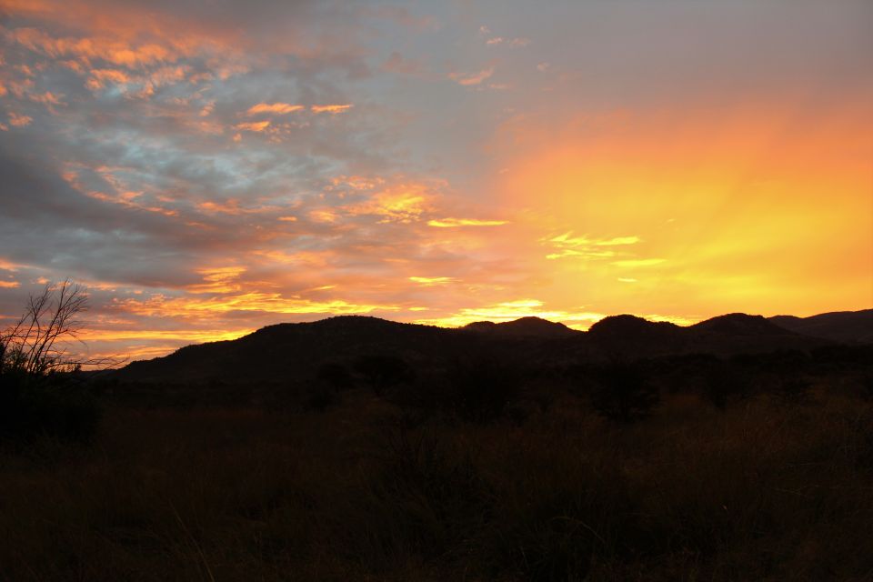 1 from johannesburg pilanesberg nature reserve game safari From Johannesburg: Pilanesberg Nature Reserve Game Safari