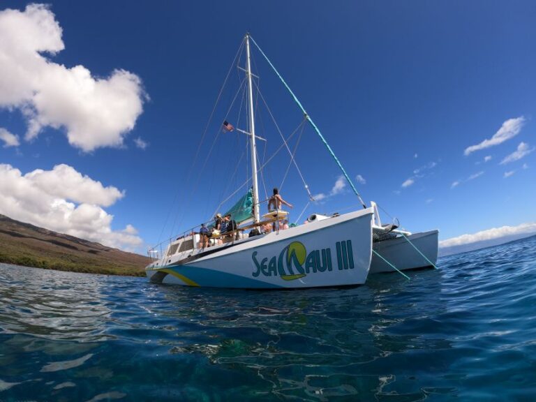 From Ka’anapali Beach: West Maui Half-Day Snorkel Adventure