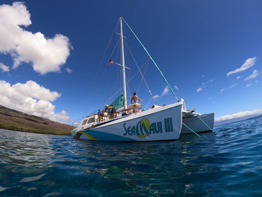 1 from kaanapali beach west maui half day snorkel adventure From Ka'anapali Beach: West Maui Half-Day Snorkel Adventure