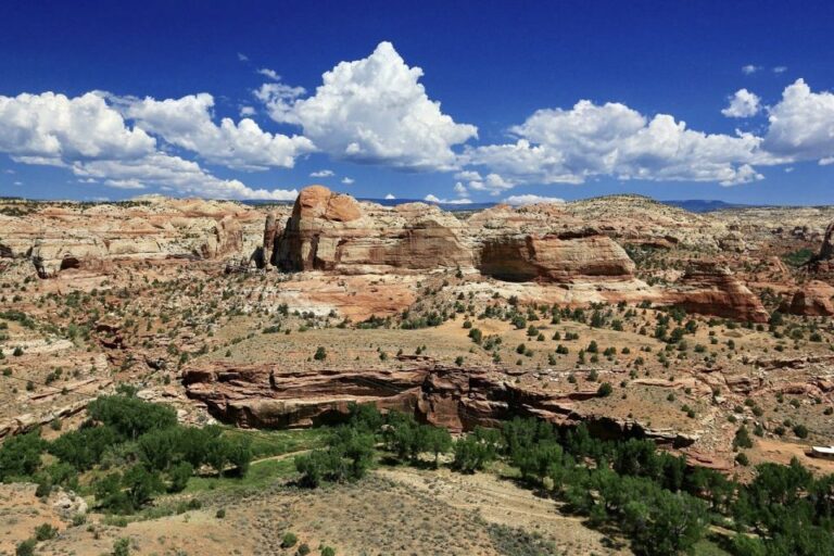 From Kanab: Grand Staircase-Escalante Drive & Hike Tour