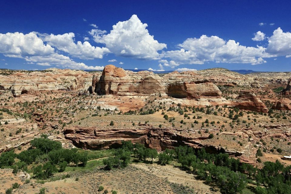 1 from kanab grand staircase escalante drive hike tour From Kanab: Grand Staircase-Escalante Drive & Hike Tour