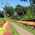 1 from kandy pinnawala and botanical garden tour by tuk tuk From Kandy: Pinnawala and Botanical Garden Tour By Tuk Tuk