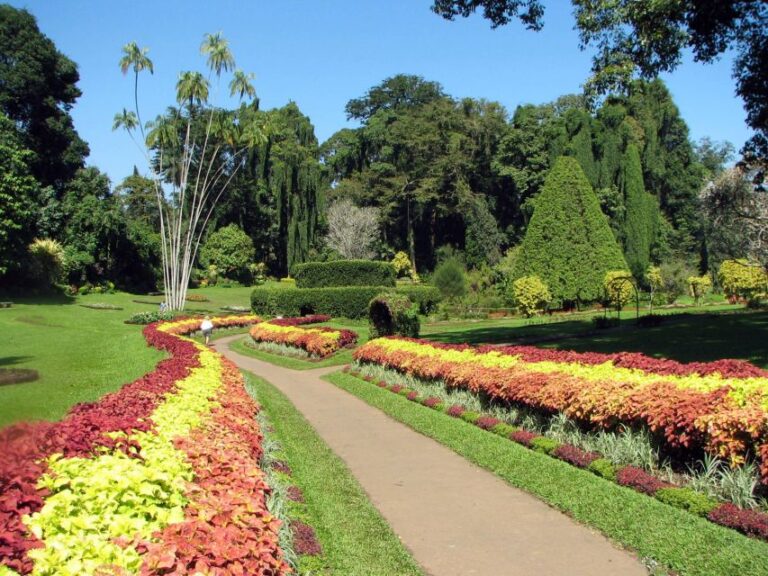 From Kandy: Pinnawala and Botanical Garden Tour By Tuk Tuk