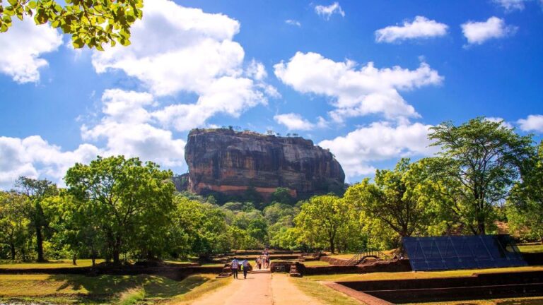 From Kandy: Sigiriya Rock Dambulla & Minneriya Park Day Trip