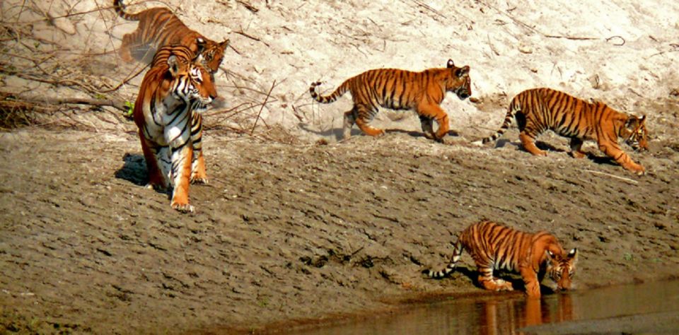 1 from kathmandu guided 3 days bardia national park tour From Kathmandu: Guided 3-Days Bardia National Park Tour