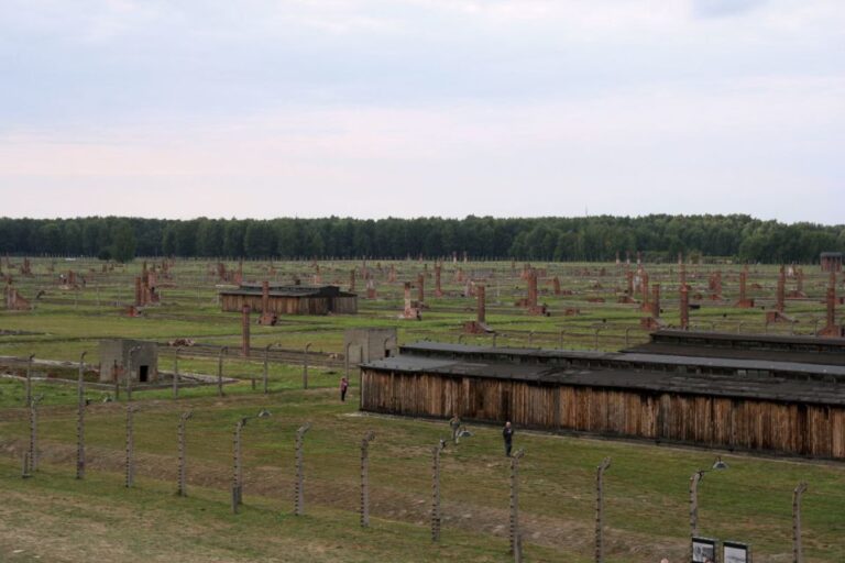 From Katowice: Auschwitz-Birkenau Skip-the-Line Guided Tour