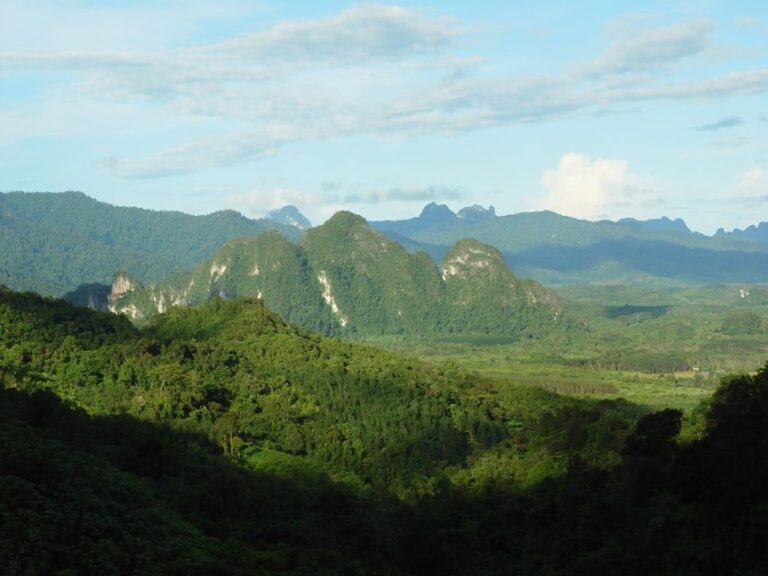 From Khao Lak: Day Trip to Khao Sok With Elephant Camp Visit