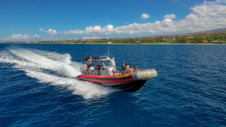From Kihei: Molokini Snorkel With Whale Watching Adventure