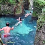 1 from kingston private port antonio and reach falls tour From Kingston: Private Port Antonio and Reach Falls Tour