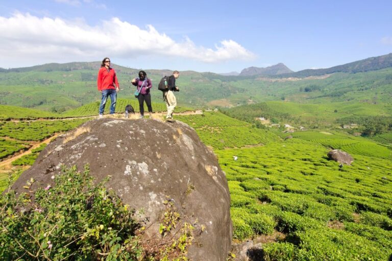 From Kochi: Munnar & Tea Museum Private Guided Tour