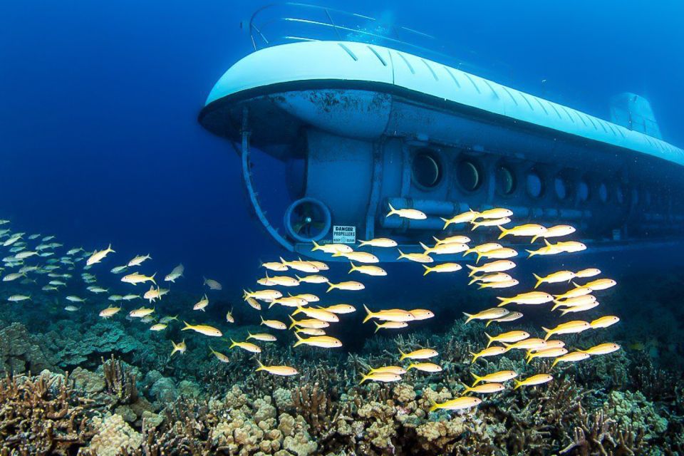 1 from kona big island underwater submarine adventure From Kona: Big Island Underwater Submarine Adventure