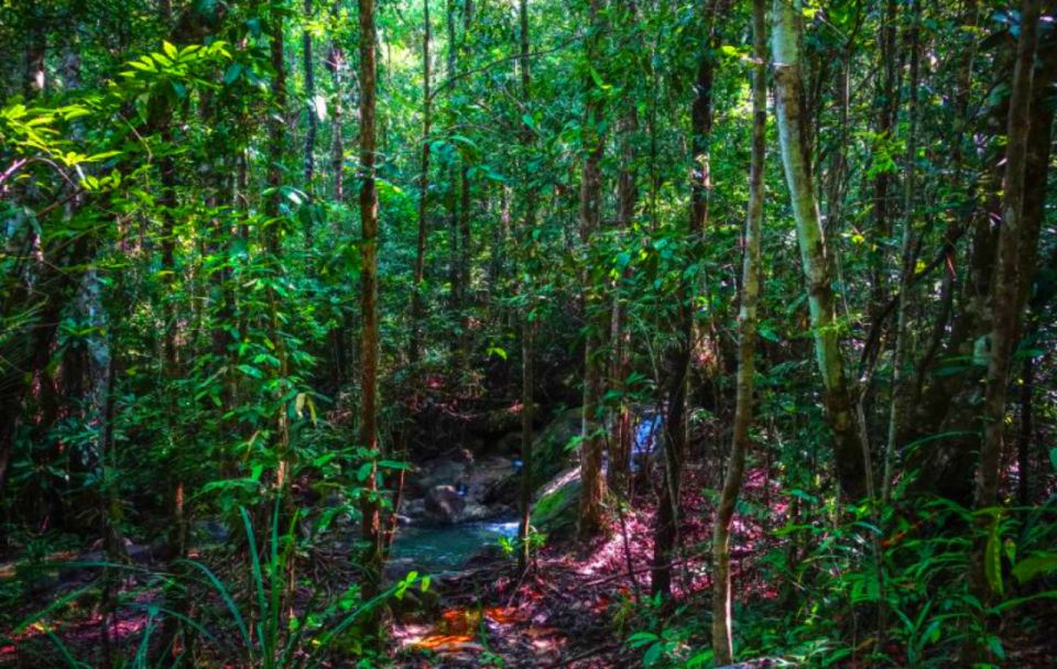 1 from krabi khao ngon nak trekking From Krabi: Khao Ngon Nak Trekking Experience