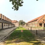 1 from krakow auschwitz birkenau and salt mine guided tour From Krakow: Auschwitz Birkenau and Salt Mine Guided Tour