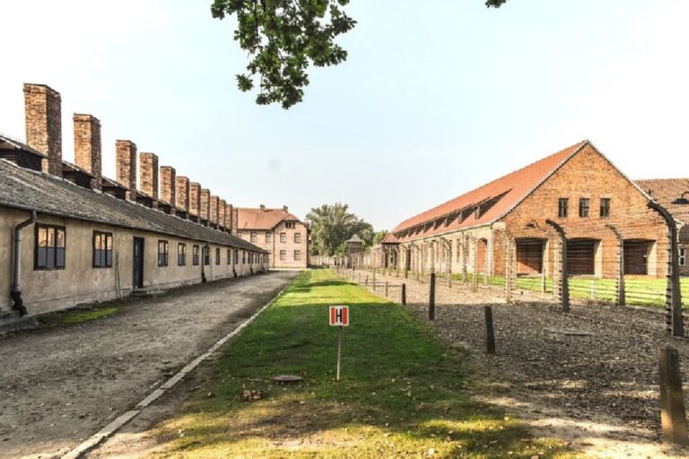 From Krakow: Auschwitz Birkenau and Salt Mine Guided Tour