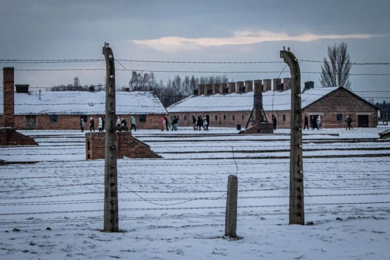 From Krakow: Auschwitz-Birkenau Roundtrip Bus Transfer